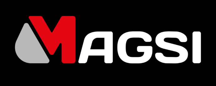 Logo Magsi